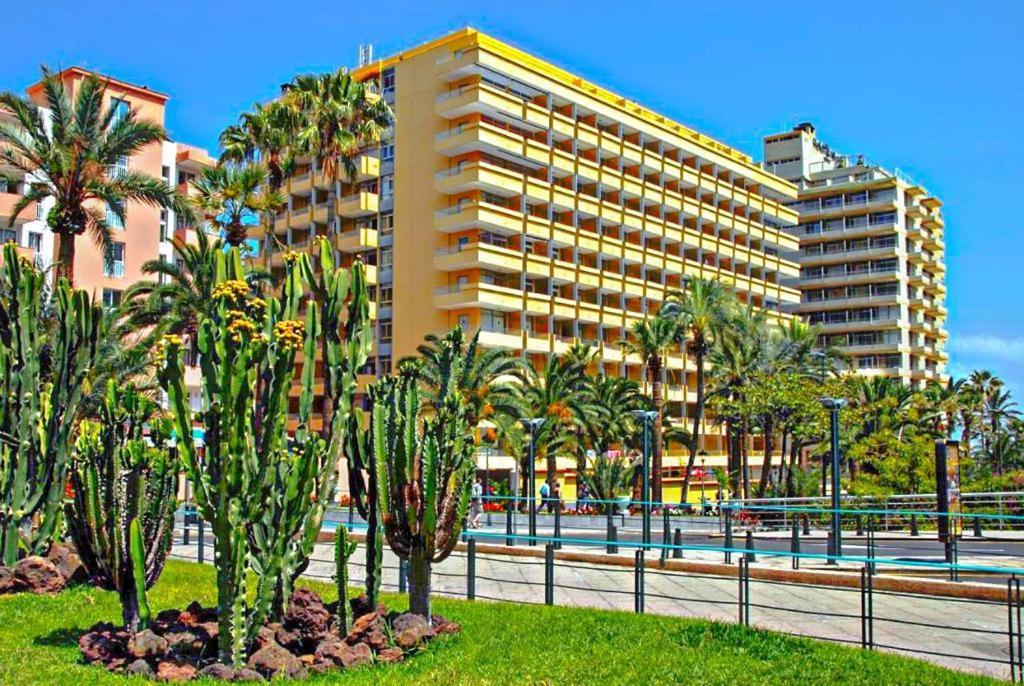 Amplio Estudio En Martianez Puerto de la Cruz  Zewnętrze zdjęcie